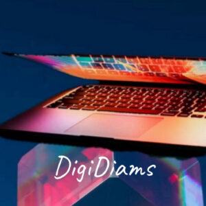 Reselll Rigts digital products